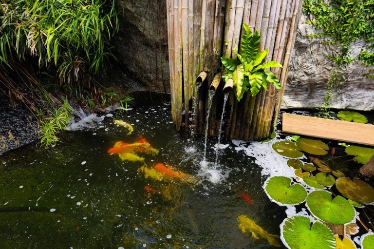 Guide pratique pour équiper votre piscine à Bourg-en-Bresse