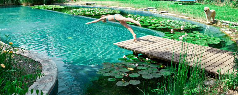 🌱 Piscine écologique : comment réduire les produits chimiques en 2026 ?