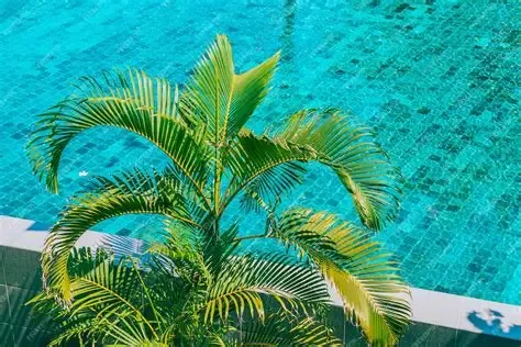 ☀️ Préparer sa piscine avant un départ en vacances : la check-list complète